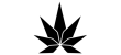 cannafitshop.com_